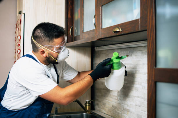 Best Emergency Pest Control  in Milford, OH