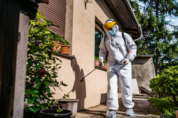 Best Termite Control Services  in Milford, OH
