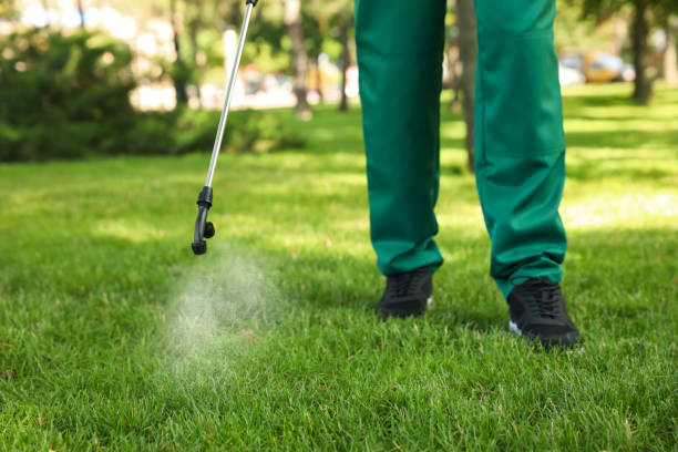 Professional Pest Control in Milford, OH