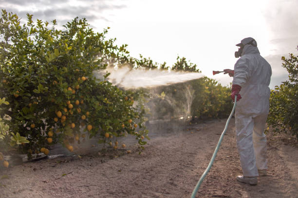 Best Ant Control Services  in Milford, OH