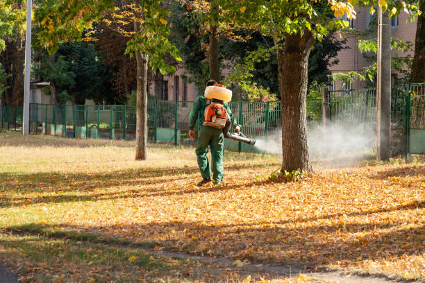 Best Pest Control for Businesses  in Milford, OH