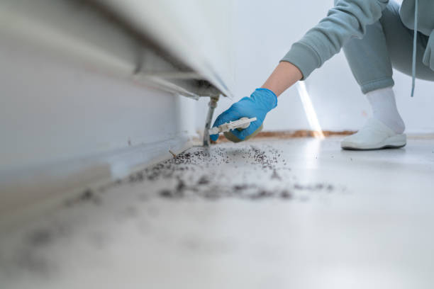 Best Mosquito Control Services  in Milford, OH