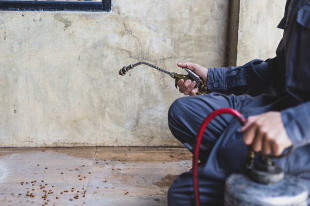 Best Pest Removal Services  in Milford, OH